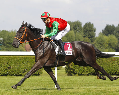 arrivée quinté 140823