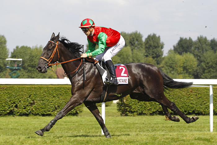 arrivée quinté 140823