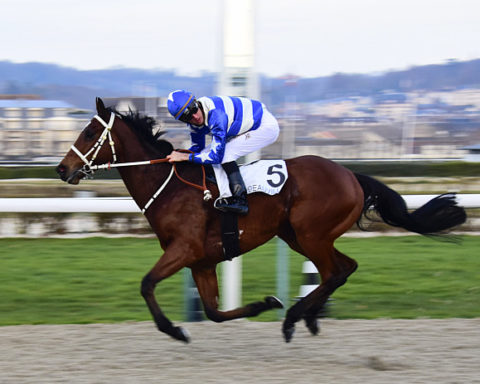 arrivée quinté 170823