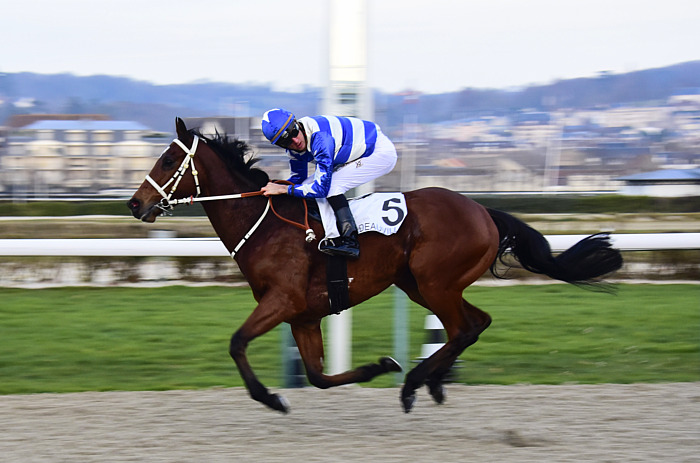 arrivée quinté 170823