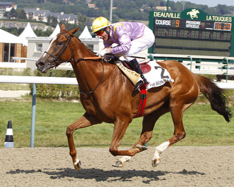 arrivée quinté 010823