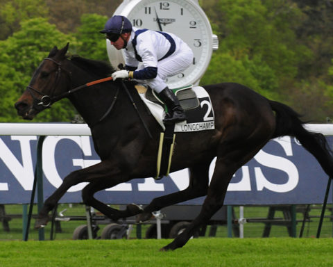 arrivée quinté 070923