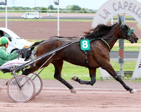 arrivée quinté 060923