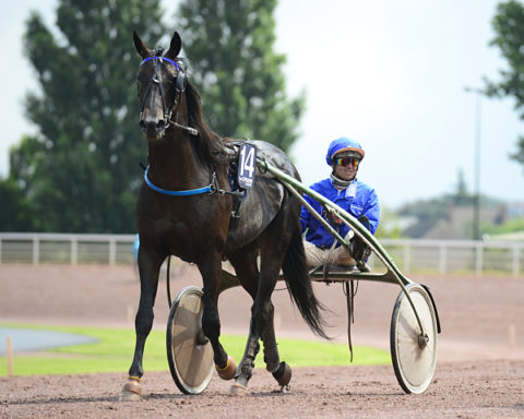 arrivée quinté 270923