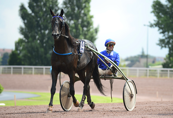 arrivée quinté 270923