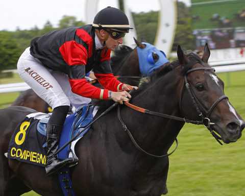 arrivée quinté 180923