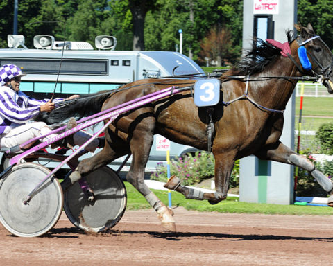 arrivée quinté 111023