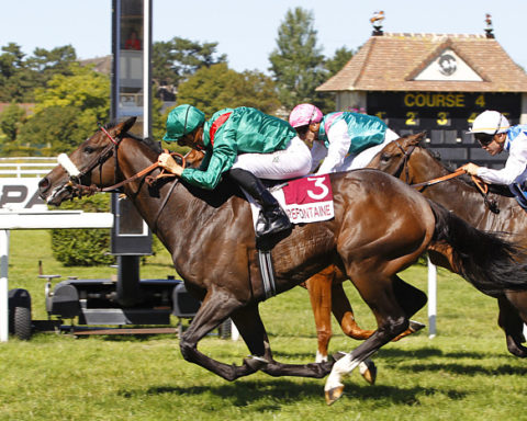 arrivée quinté 161023