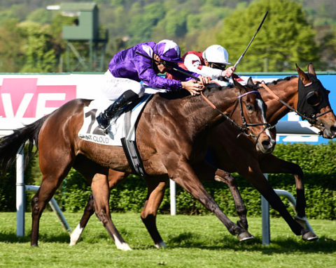 arrivée quinté 101023