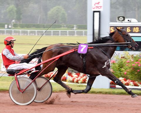 arrivée quinté 021023