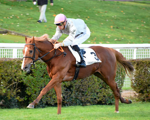 arrivée quinté 051023