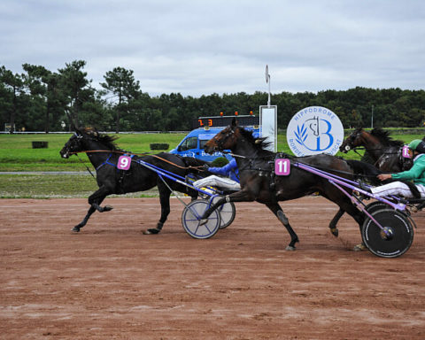 arrivée quinté 151123