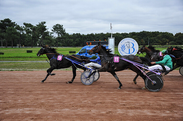 arrivée quinté 151123