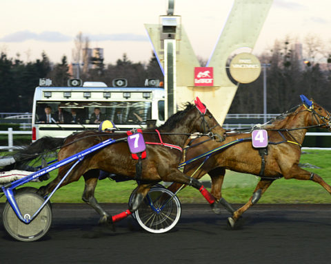 arrivée quinté 131123