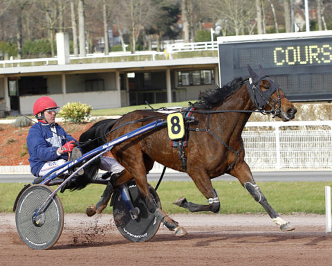 arrivée quinté 081123