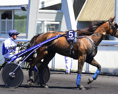 arrivée quinté 091123