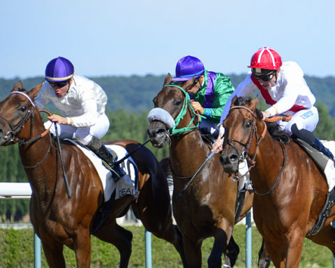 arrivée quinté 291123