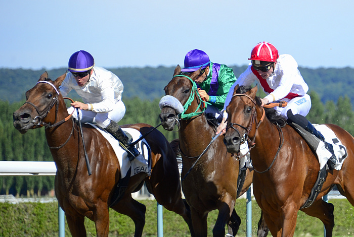 arrivée quinté 291123