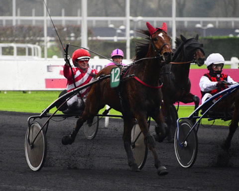 arrivée quinté 201123