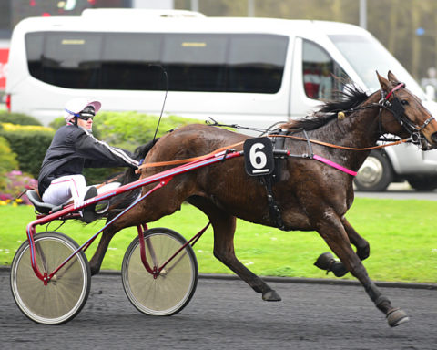 arrivée quinté 231123