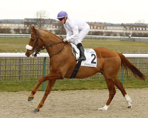 arrivée quinté 211123