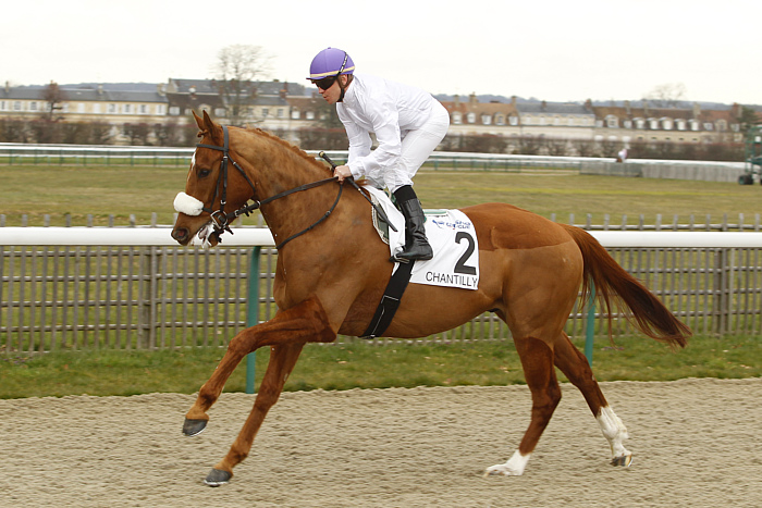 arrivée quinté 211123