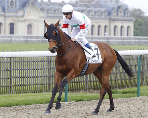 arrivée quinté 141123