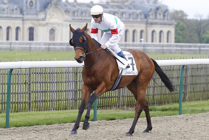 arrivée quinté 141123