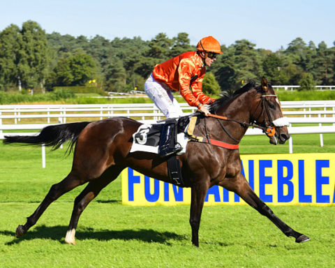 arrivée quinté 071123