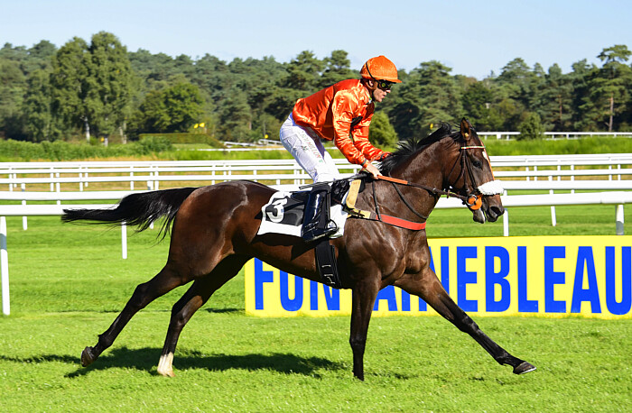 arrivée quinté 071123