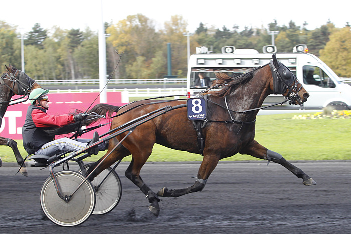 arrivée quinté 271123