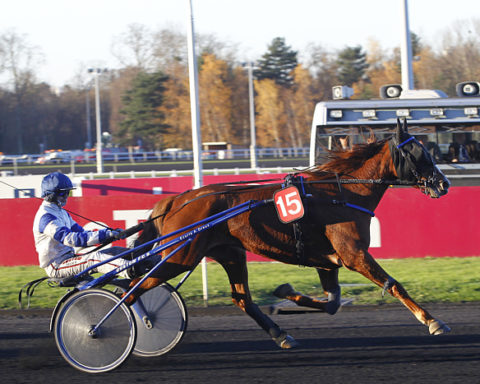 arrivée quinté 061123