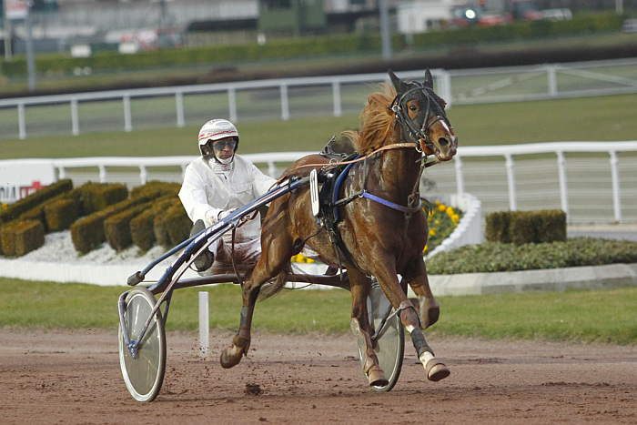 arrivée quinté 011123