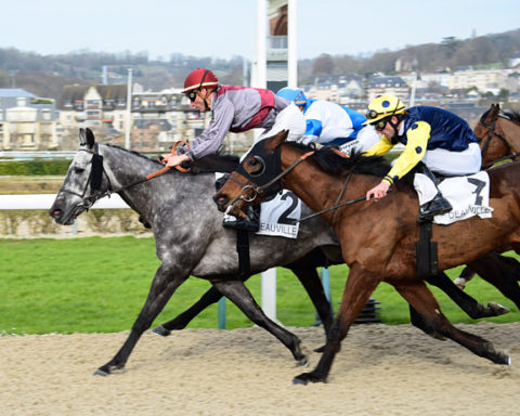 arrivée quinté 161123