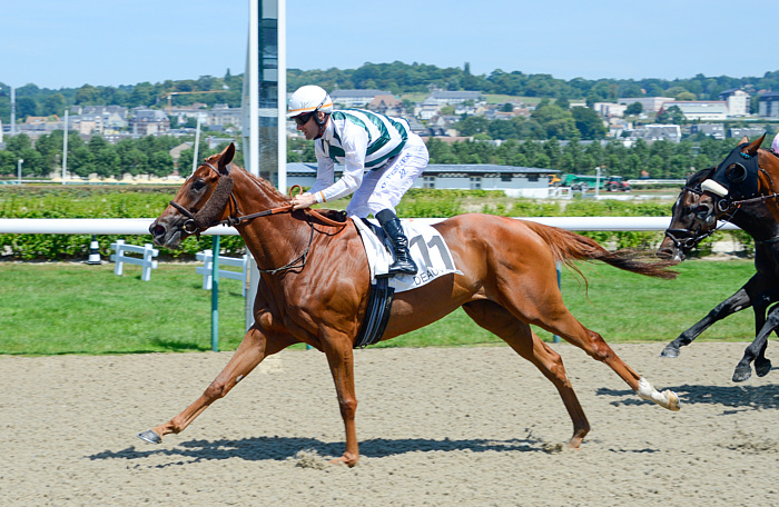 arrivée quinté 281123