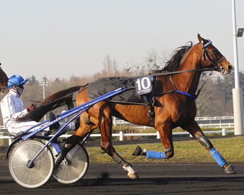 arrivée quinté 301123