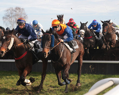 arrivée quinté 19 décembre 2023