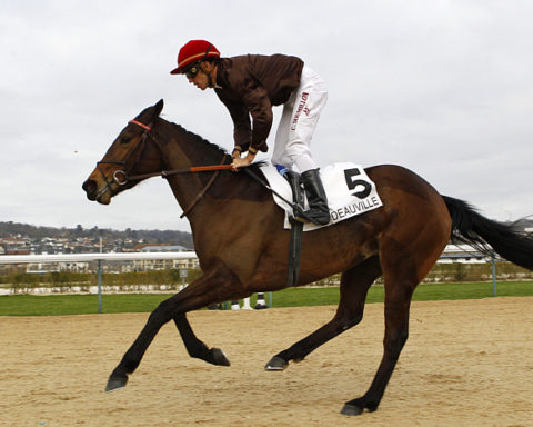 arrivée quinté 05122023