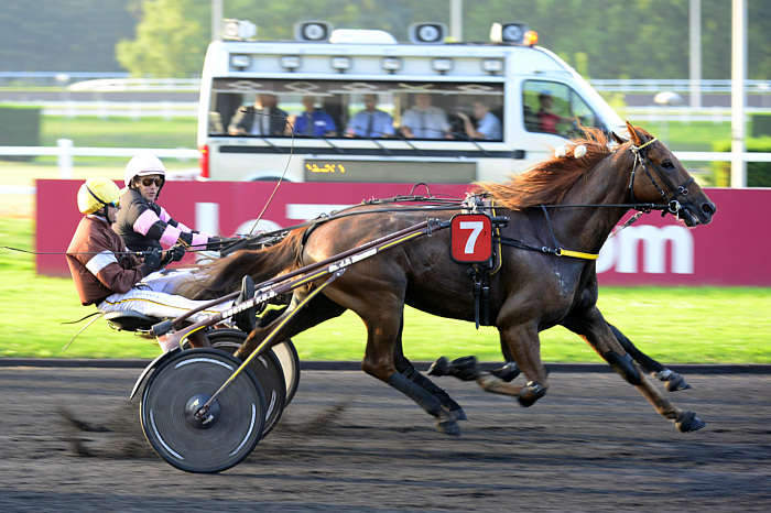 arrivée quinté Prix de Blanquefort 2023