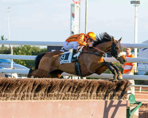 arrivée quinté 11122023