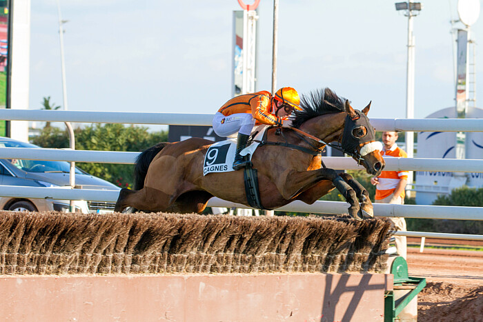 arrivée quinté 11122023