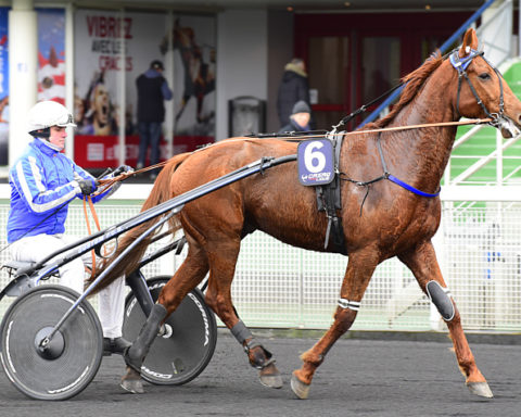 arrivée quinté 20 décembre 2023