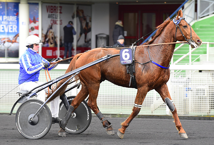 arrivée quinté 20 décembre 2023