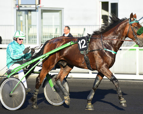 arrivée quinté 25 décembre 2023