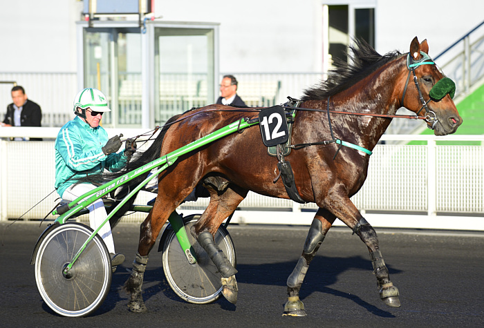 arrivée quinté 25 décembre 2023