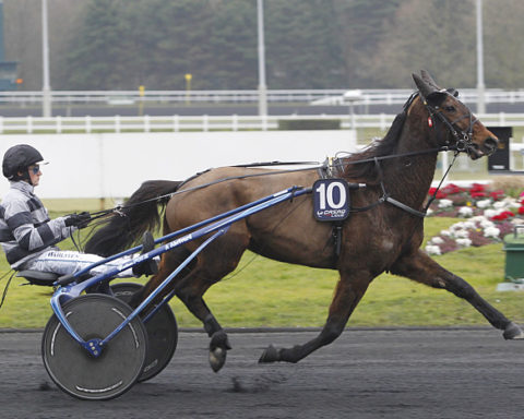 arrivée quinté Prix des Alpes 2023