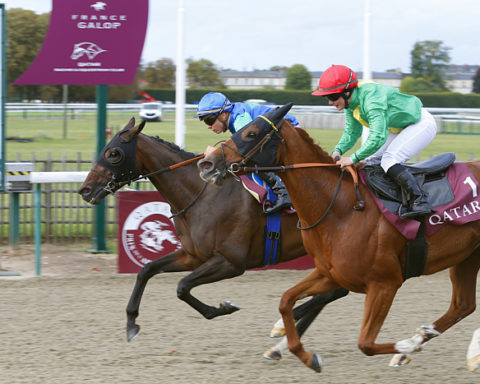 arrivée quinté Prix de la Piste des Lions 2023