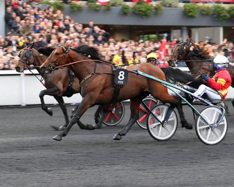 arrivée quinté 07122023