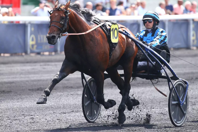 Arrivée Prix Ténor de Baune -Amérique Races PMU Q4 2024