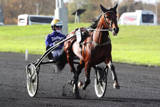 arrivée bourbonnais amérique 2024